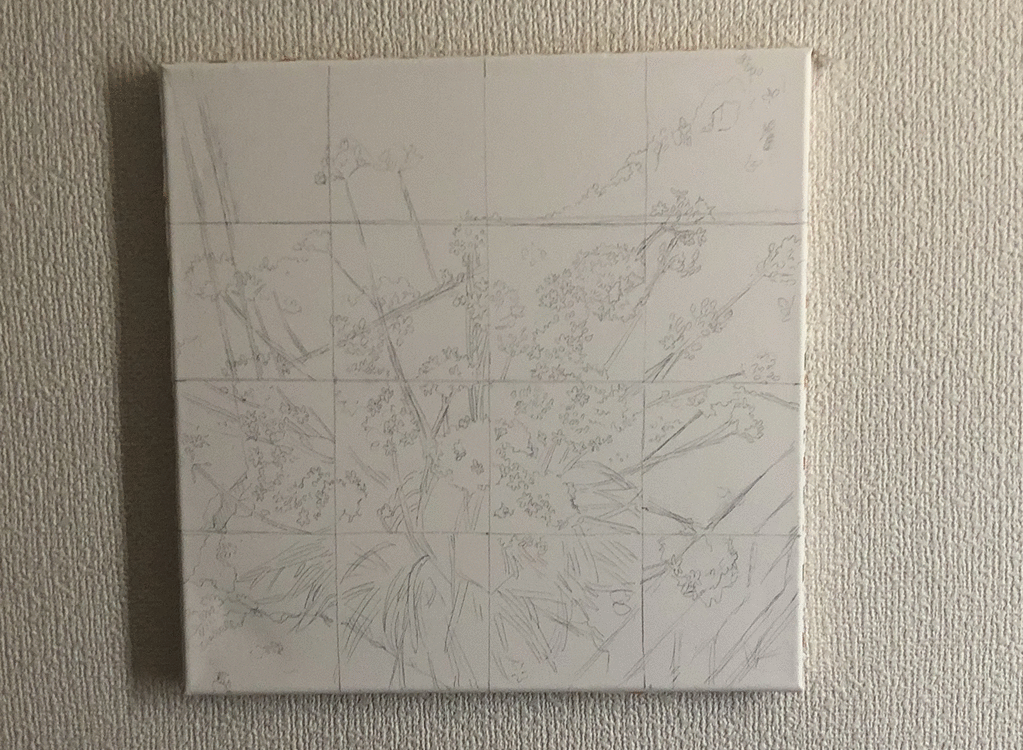 ニラの花　作業過程